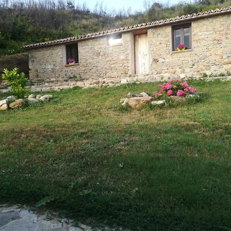 Il Cerro Agriturismo Zagarese Fuscaldo Extérieur photo