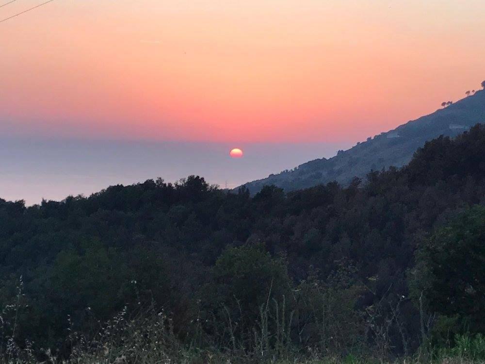 Il Cerro Agriturismo Zagarese Fuscaldo Extérieur photo