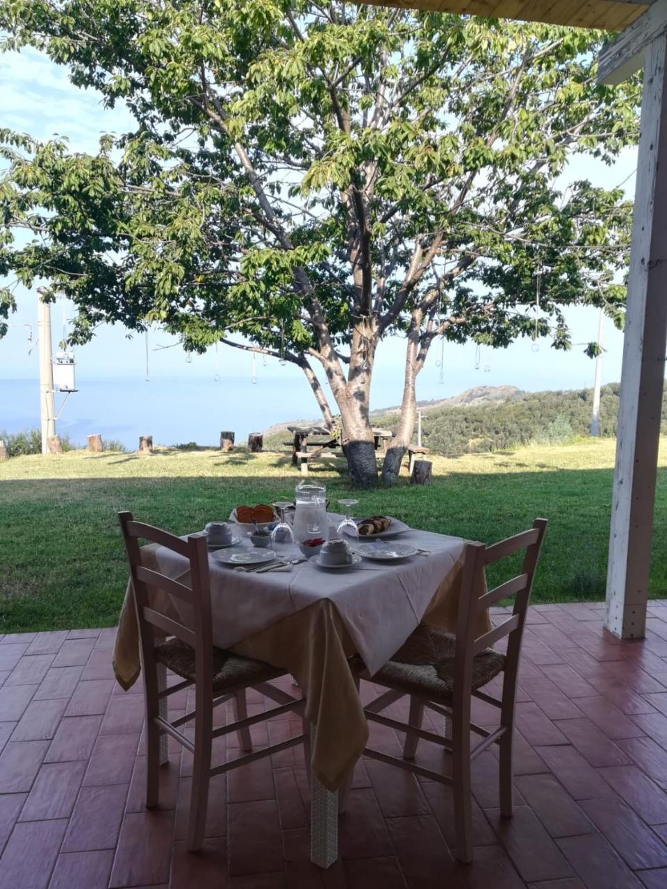 Il Cerro Agriturismo Zagarese Fuscaldo Extérieur photo
